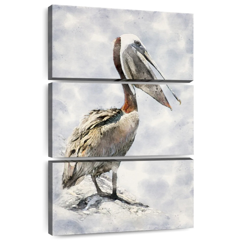 Brampt Brown Pelican