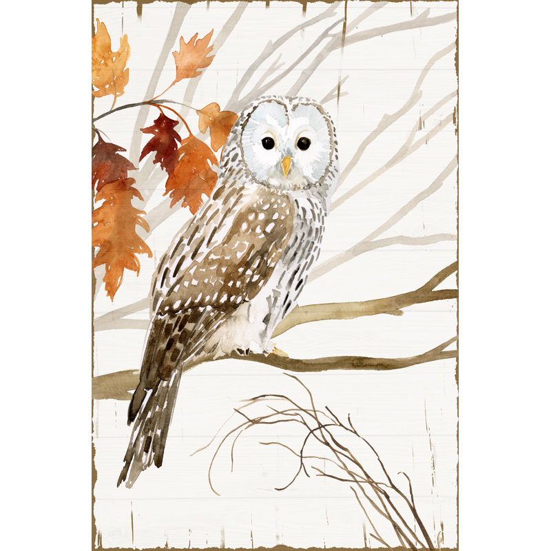 " Harvest Owl I ", 30" H x 20" W x 1" D