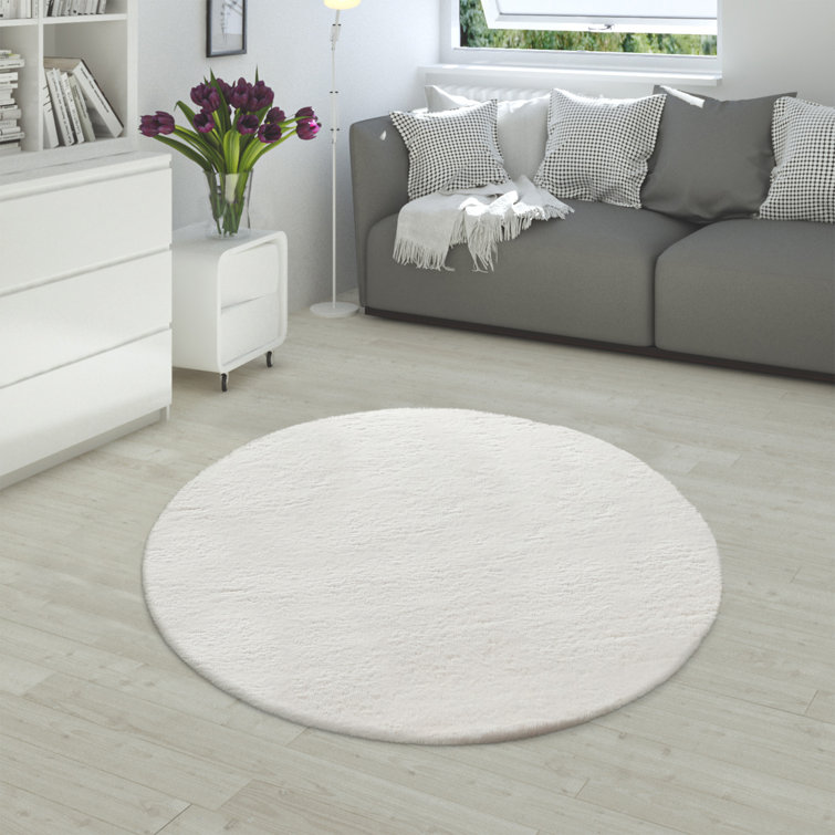 Armida Uniform Color Shag Area Rug