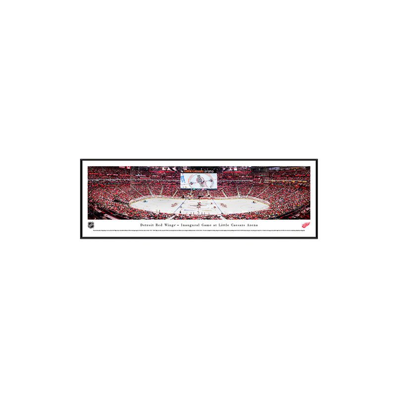 NHL Hockey, H 13,75 po x l 40,25 po x P 0,88 po, Blanc