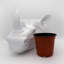 Planter-2088404598