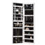 Over-the-Door Jewelry Armoire
