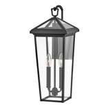 Alford Place 2-Light Outdoor Tall Wall Mount Lantern