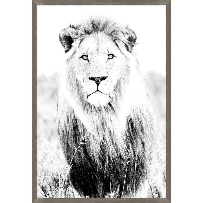 Wild Calling 1 Framed Photographic Print