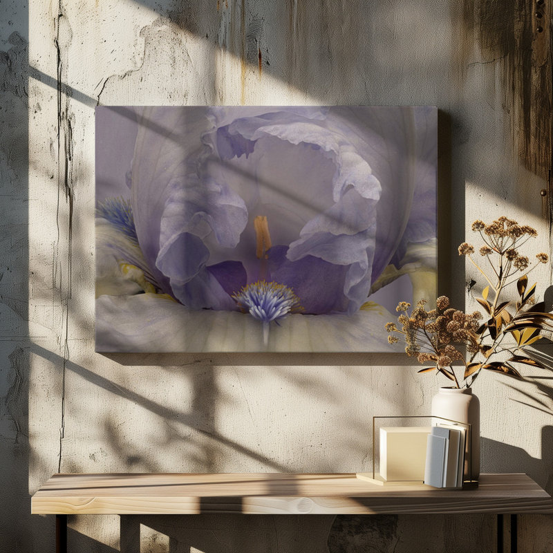 Wrapped Canvas Print, 50.8 cm H x 76.2 cm W