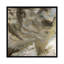 « cochettes », reproduction d’art sur toile-21717583-71968872