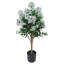 Lilas blanc extérieur / intérieur