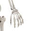Halloween Figurines & Collectibles-1168655079