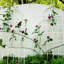 Ensemble de 2 treillis de jardin en métal Charlyn-238430634-253331873