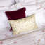 Gaura Decorative Pillow-1912182765