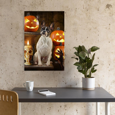 Halloween, art bouledogue français