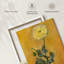 Coquelicot blanc-250555498