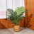 Adcock Artificial Majesty Palm Tree in Pot-2141281222