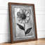 Daisy Study Botanical - Print-1601984428-1601984429