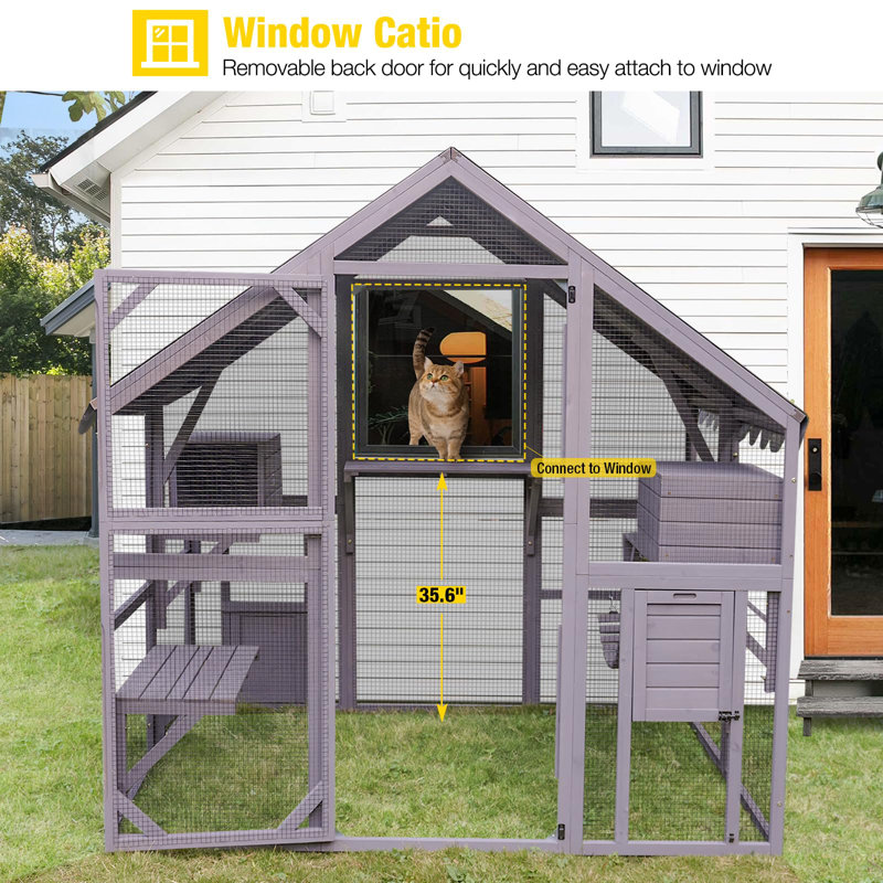 Enclos pour chat Catio