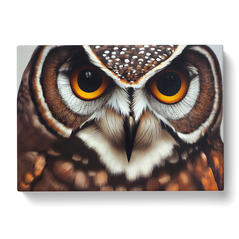 Unimaginable Owl - Wrapped Canvas, 40cm H x 60cm W x 3cm D