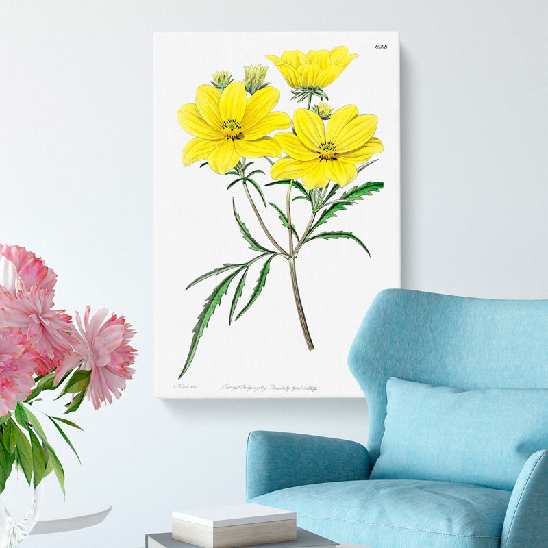 Yellow Tickseed Flowers - Wrapped Canvas Painting, 60cm H x 40cm W x 3cm D