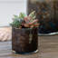 Serena Materials: Glass Table Vase-573315745
