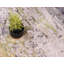 Tapis gris Keimar-26194402