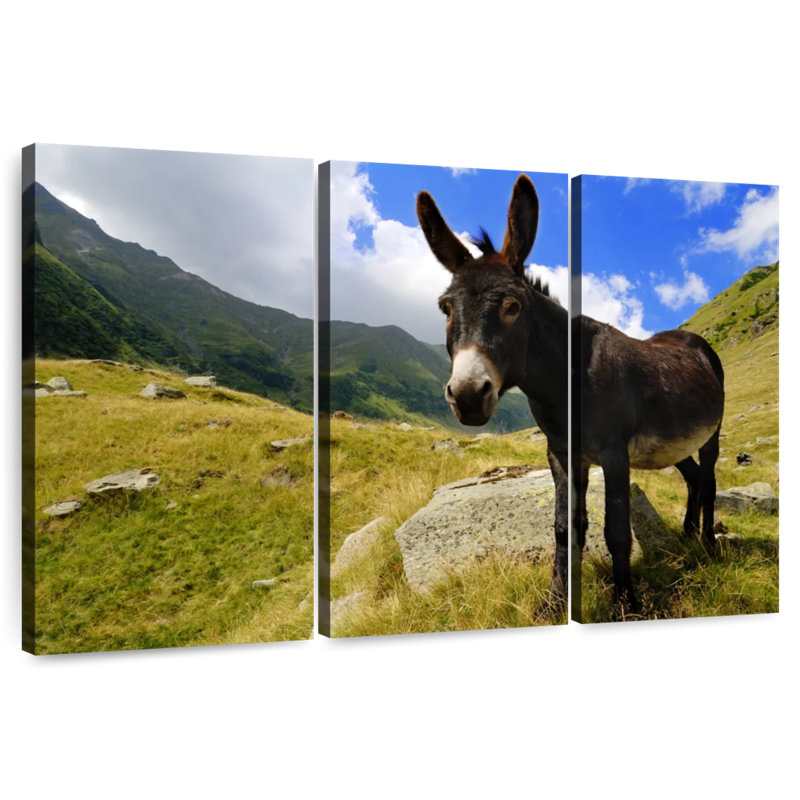 Brampt Wild Donkey, 32" H x 50" W