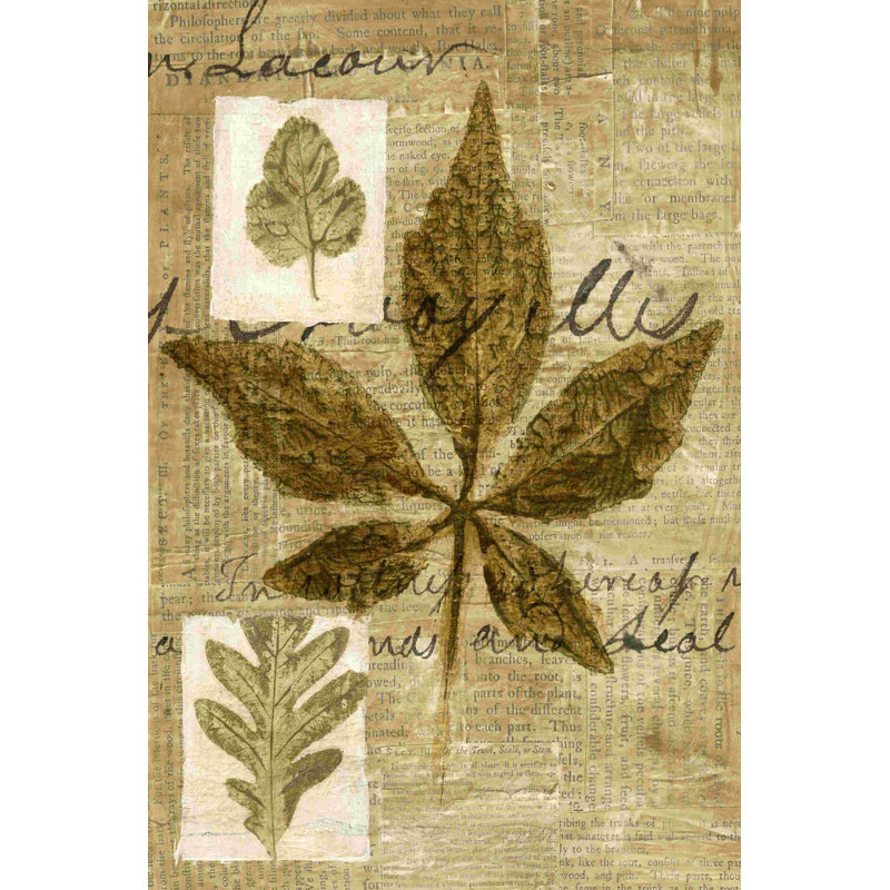 " Leaf Collage III " by Kate Archie