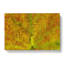 Veins Of The Leaf In Abstract - Wrapped Canvas-55302038