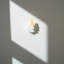 Birdie® 2.0, Dune-123046100