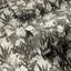 Tropic Paradise Wallpaper Roll-352434397-352434980
