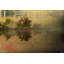 Parvez Taj - Wrapped Canvas Print-12309632