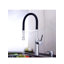 AvaMalis Pull Down Kitchen Faucet