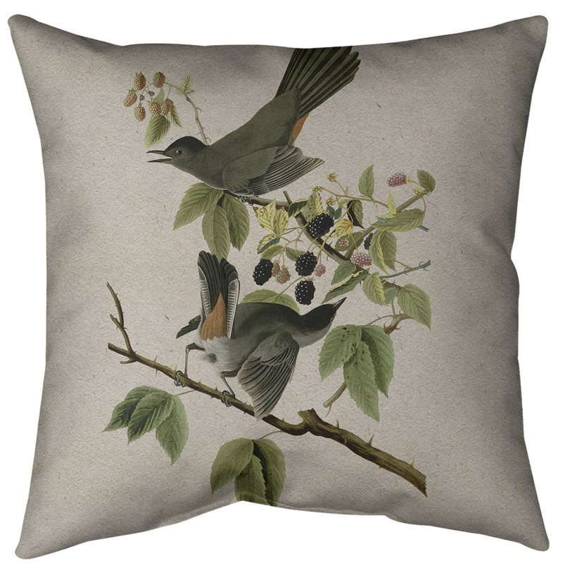 Coussin décoratif à motif d'oiseau de chat avec insert - Collection John James Audubon, double face et lavable, Gris