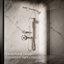 Occasion Single-Function 2.5 Gpm Handshower-282655951