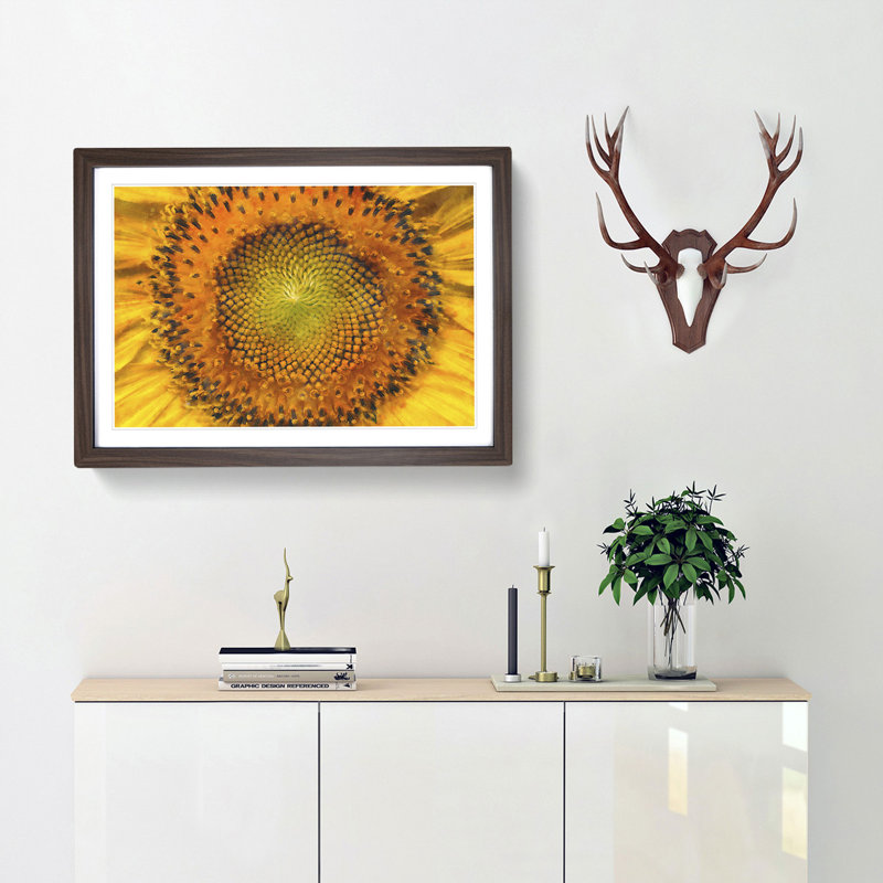 The Eye of a Yellow Sunflower - Picture Frame Painting Print, 33cm H x 45cm W x 2cm D, Walnut Framed