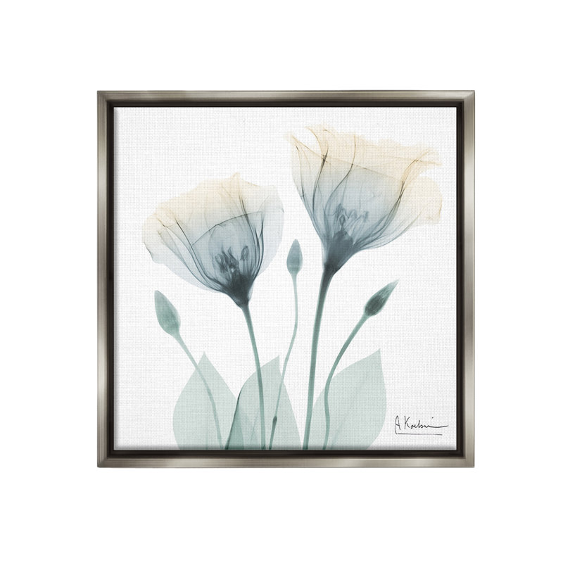"Opaque Tulip Duo Floater Frame" par Albert Koetsier sur, H 18 po x l 18 po, Cadre flottant gris lustré