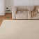 Record Washable Rug