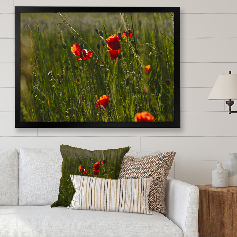 «Green Field Of Red Poppies», reproduction d'art sur toile traditionnelle, Impression noire sur toile encadrée