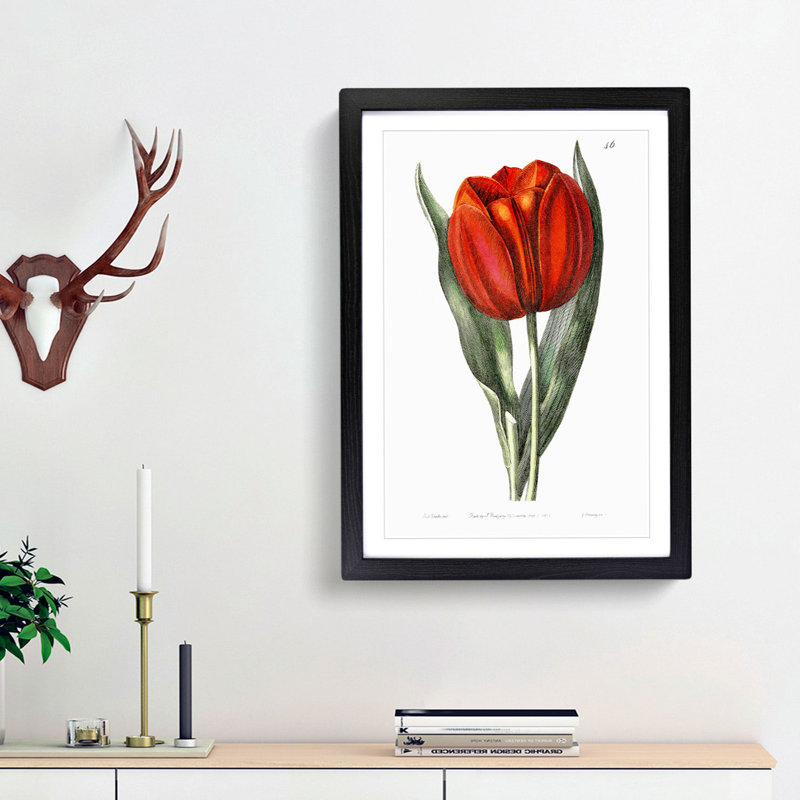 Red Tulip - Picture Frame Painting Print, Black Framed, 36cm H x 27cm W x 2cm D