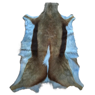 Dyed Baby Blue Springbok Hide (Genuine Hide)