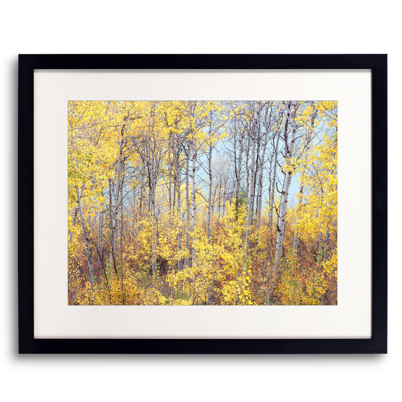 Swan Valley Autumn Portrait #4 Print by Bruce Heinemann, Wrapped Canvas, No Mat, 30" H x 40" W
