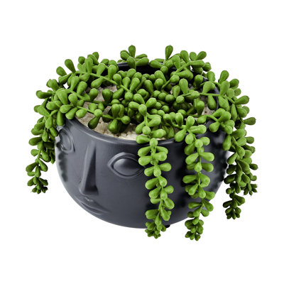 Elements Artificial Pearl Succulent, 5 Inch