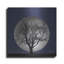 Ebern Designs «Full Moon» par Lori Deiter, art mural en métal-873741416