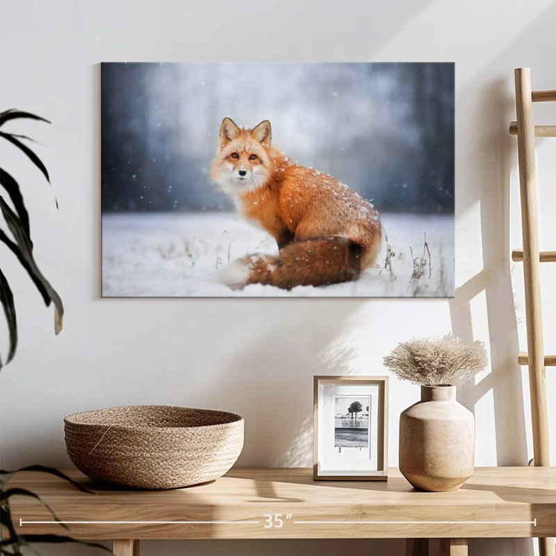 Portrait de petit renard roux Brampt, H 16 po x l 24 po