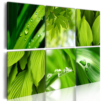 6 Piece No Frame Print on Canvas