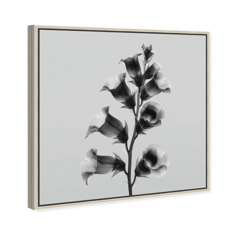 Ossified Petals I Print by Oliver Gal, 13"H x 13"W, Silver Floater Frame