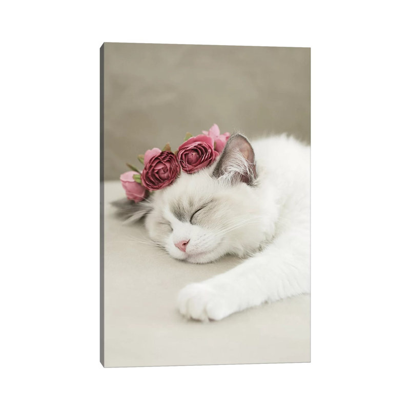 Sleepy Kitty by Monika Strigel - Wrapped Canvas Print, 20.32 cm H x 30.48 cm W