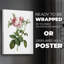 Botanical Beauty IV - Impression sur toile seulement - NON CADRE