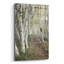 «Birch Trail» par Natalie Mikaels-470857032
