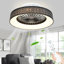 Machutte 18.5'' Ceiling Fan with LED Lights-483886798