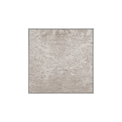 Machine Washable Gray Area Rug