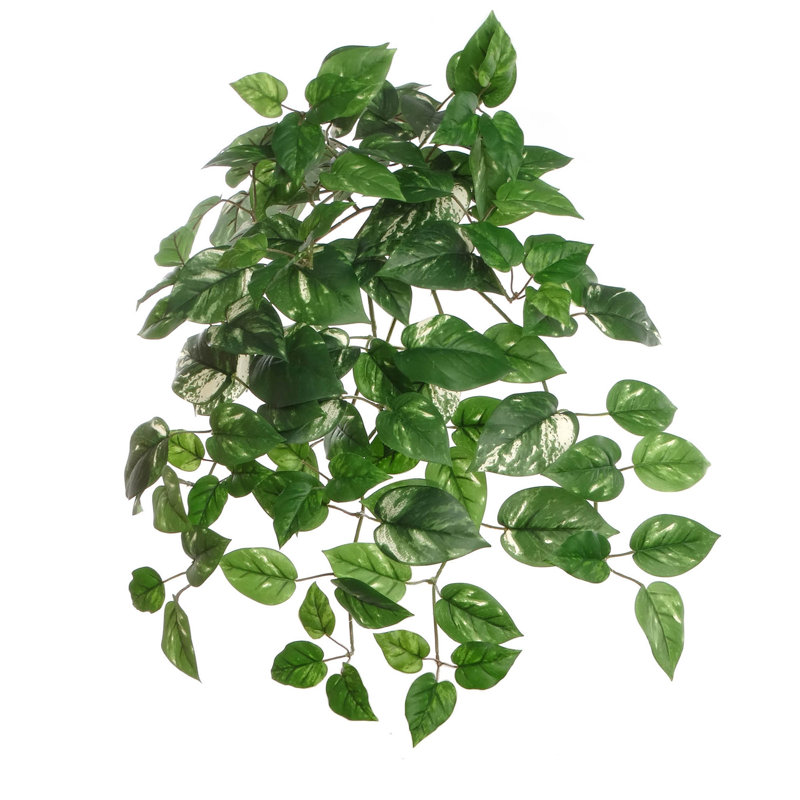 Pothos Ivy Bush avec 117 feuilles de soie - 23 po de long - paquet de 4